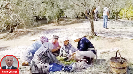 Hayallerini toprağa eken kadınlar