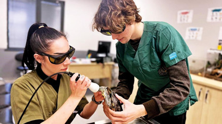 Yılda 60 bin hayvan tedavi olacak Yılda 60 bin hayvan tedavi olacak