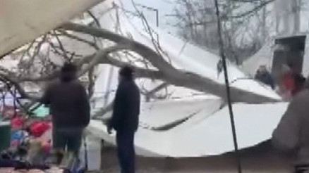 Pazar yerinde korku dolu anlar Ağaç, tezgahların üzerine düştü