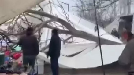 İstanbul Güngören’de ağaç, pazar tezgâhlarının üstüne devrildi