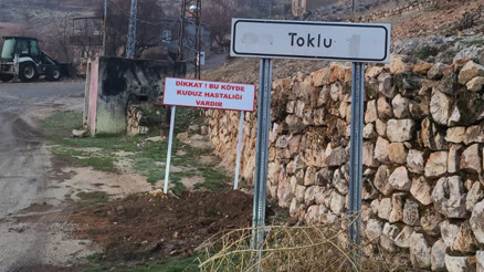 Adıyamanda 7 yaşındaki çocuğa saldıran köpek kuduz çıktı Bir köy 6 ay karantinaya alındı