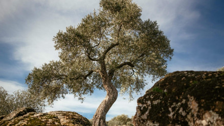 Türkiye’nin ilk slow food çiftliği İzmir’de