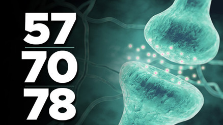 Beyin sağlığı, hafıza gücü, yaşlanma, demans... Hepsi için bu üç sayı çok önemli: 57, 70 ve 78... Beyin sağlığı, hafıza gücü, yaşlanma, demans... Hepsi için bu üç sayı çok önemli: 57, 70 ve 78...