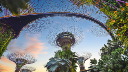 Bu ülkede yaşamak insanın ömrüne ömür katıyor Dünyanın altıncı Mavi Bölgesi Singapurda yaşayanların uzun ömürlü ve sağlıklı olmasının sırrı ne