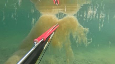 İstanbulda tedirgin eden müsilaj görüntüsü