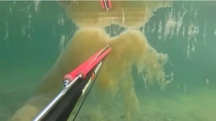 Büyükçekmecede denizin derinliğinde müsilaj görüntüsü kamerada