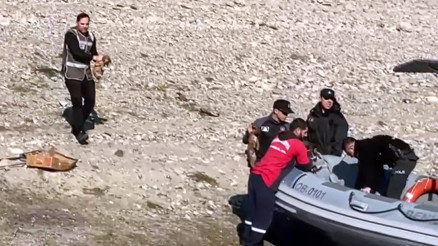 Adanada Sevgi Adasında mahsur kalan yavru köpekler kurtarıldı