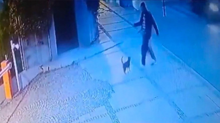 Beşiktaşta kediyi tekmeleyen saldırganın cezası belli oldu