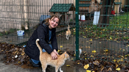 Okul bahçesinde kedi mahallesi