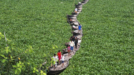 Etrafında ne varsa öldürüyor, bulunduğu yeri istila edip yaşamı sonlandırıyor Sorun o kadar büyük ki uzaydan bile görünüyor… Dönem dönem Türkiye’de de ortaya çıkıyor