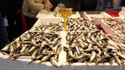 Balık tezgahlarında çeşit bolluğu... İşte fiyatlar