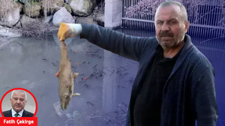 5 yıldır aynı can suyunu utanmazca kirletiyorlar