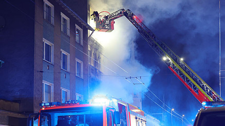 Solingen canisi itiraf etti