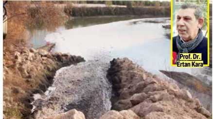 Ceyhan Nehri için ‘botulismus’ uyarısı: Buradan balık tüketmeyin