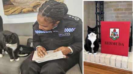 Fare avcısına yeni görev