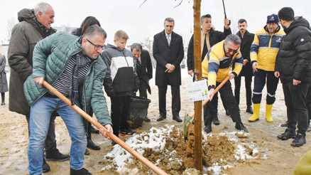 78 canın anısına 78 fidan