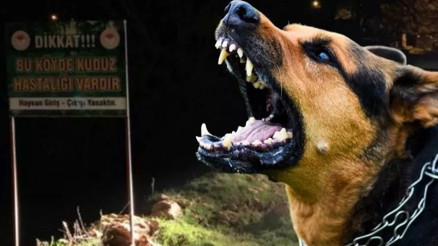 Siverekte kuduz alarmı: Mahallelerde karantina başlatıldı