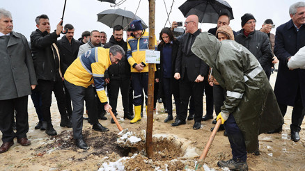 Bayrampaşada fidanlar, yangın felaketinde yitiren 78 can için yeşerecek Bayrampaşada fidanlar, yangın felaketinde yitiren 78 can için yeşerecek