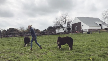 Bir evde eski sevgilisi, diğerinde yeni aşkı... Komşu evlerde huzur içinde yaşayıp gidiyorlar