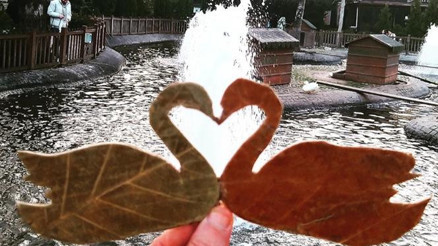 Doğanın kalp atışı