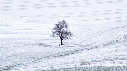 Başkente beyaz örtü... Son 55 yılın en sıcak 3. ocak ayı