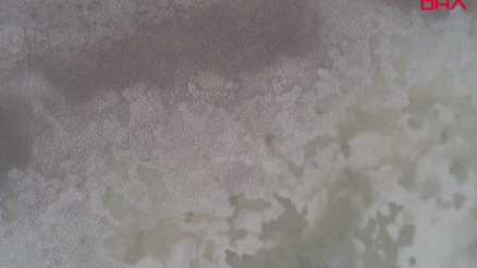 Son 50 yılda, iki Marmara Denizi büyüklüğünde sulak alan kaybedildi