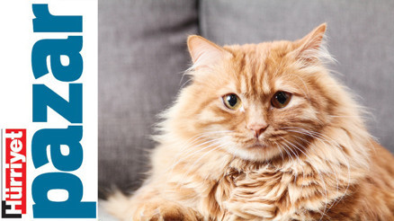 ‘Bir derdim var’