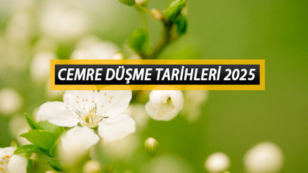CEMRE DÜŞME TARİHLERİ 2025 || Baharın habercisi cemre ne zaman düşecek İlk cemre havaya düştü mü, hangi tarihte ve sırayla düşüyor 2025 1. 2. ve 3. cemre havaya, suya, toprağa kaç gün arayla düşer Baharın müjdecisi: Doğayı renklendiriyor