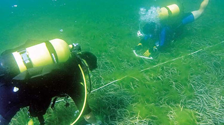 Prof. Öztürk’ten müsilaj açıklaması: Marmara için hâlâ umut var Prof. Öztürk’ten müsilaj açıklaması: Marmara için hâlâ umut var