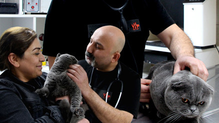 Bu durum 6 milyonda bir görülüyor Veteriner şaşkına döndü: Türkiyede henüz görüldüğünü sanmıyorum