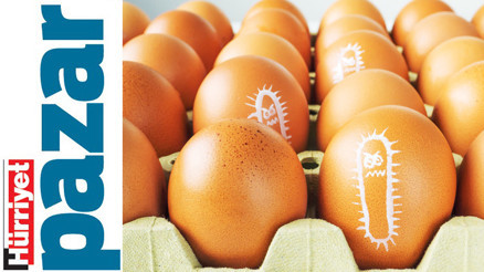 Sağımız solumuz salmonella