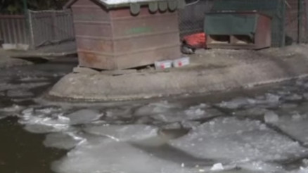 Ankarada termometreler eksi 7 dereceyi gördü, Kuğulu Parkın havuzu dondu