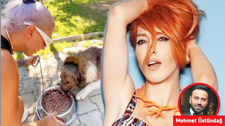 Evde yemek yapıp sokak hayvanlarını besliyor