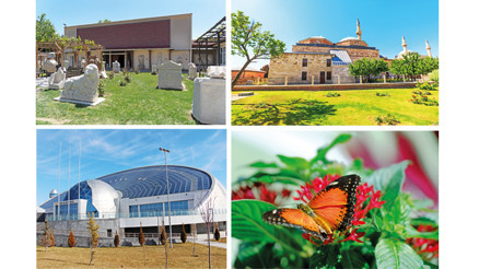 Sükûnet ve bilgeliğin buluşma noktası