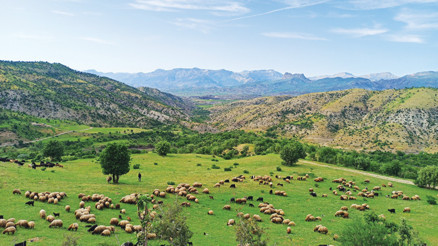 Anadolu’nun bilge güneşi: Cizre