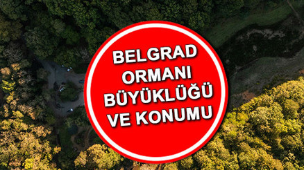 Belgrad Ormanı büyüklüğü ve konumu | Belgrad Ormanı nerede, ne kadar büyük Kayıp Ece Gürelin arandığı Belgrad Ormanı yürüyüş parkuru kaç metre