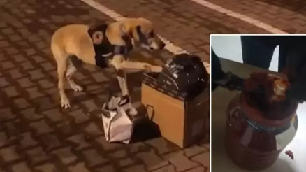 Salça bidonunda uyuşturucu ile yakalanan sanığa 6 yıl 3 ay hapis
