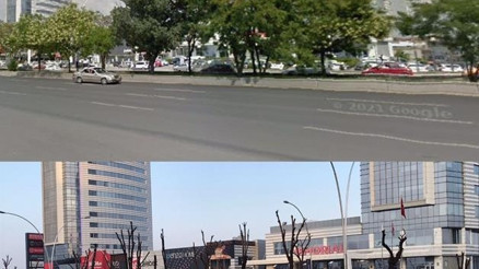 Belediyelere sert budama tepkisi... Kuşlar yuvalarını kaybetti