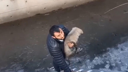 Köpeği Corsiyi kurtarmak isterken derede mahsur kaldı İtfaiye ekipleri kurtardı