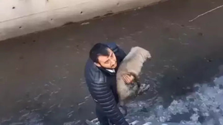 Köpeği Corsiyi kurtarmak isterken derede mahsur kaldı İtfaiye ekipleri kurtardı