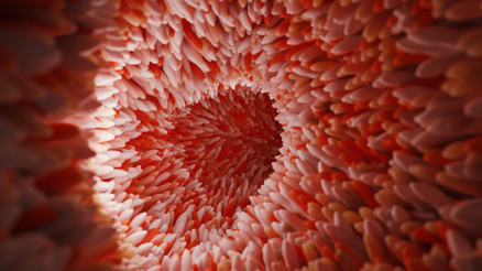 Çok önemli ama hep yanlış biliniyor Sebebi ancak 80li yıllarda keşfedilebildi... Bu konuda yeterince konuşmuyoruz