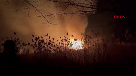 Bursa’da İznik Gölü kıyısında sazlık yangını