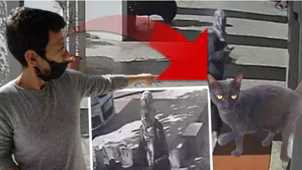 Mahalle sakinleri endişeli Siyah kediyi sepete koyup götürdü: O anlar kamerada