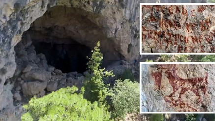 Kalker ocağından kaçak ağaç kesimi İçişleri Bakanlığı inceleme başlattı