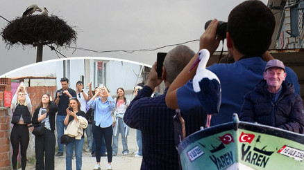 Yaren leylek için köye akın ettiler 14. kez gelişi büyük sevinç yaratmıştı