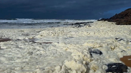 Avustralyada beyaz köpük alarmı: Balıklar öldü plajlar kapandı