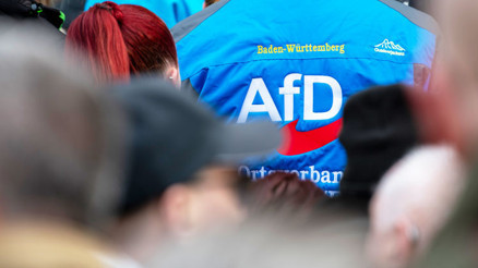 AfD’yi izlemeye devam