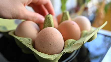 Almanya’da yumurta tüketimi rekor kırdı
