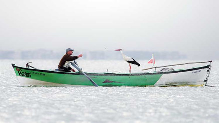 Yaren leyleğin fotoğrafına Avrupa’dan ödül