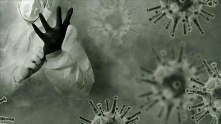 İngilterede korkutan gelişme: Koyunda kuş gribi tespit edildi